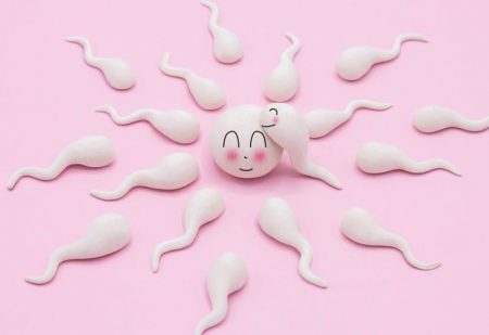 Hogyan segít az ovulációs kalkulátor és teszt, ha babát szeretnétek?
